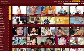 Great live porn webcams with Asian gay videos
