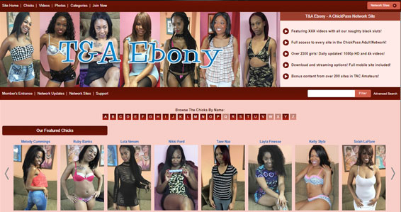 Nice pay xxx website showing hard ebony porn vids